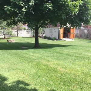 Meet your Posher, Janine